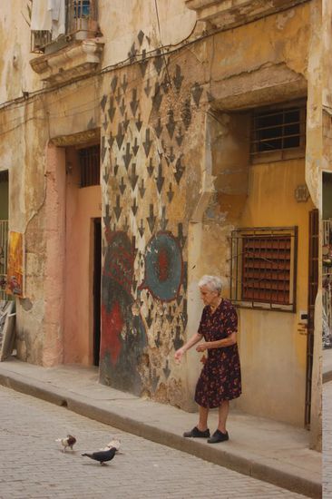 Alte Frau beim Vögel füttern