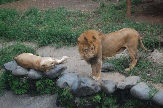 Na gut, ich kann mich auch anders beschäftigen...zum Beispiel...zum Beispiel...zum Beispiel...Löcher in die Luft schaun!