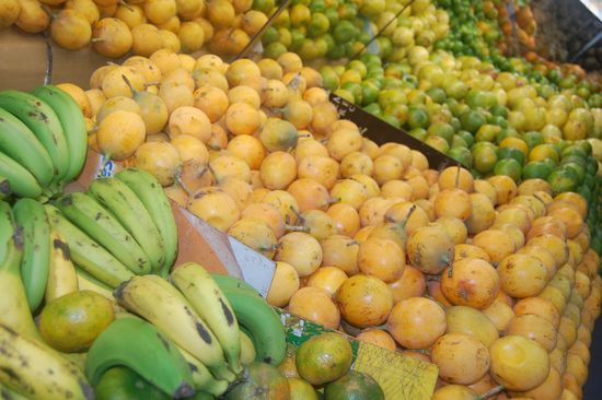 Die Obst- und Gemüseabteilung im Supermarkt war besonders spannend für uns - beim ersten Mal schier überwältigend!