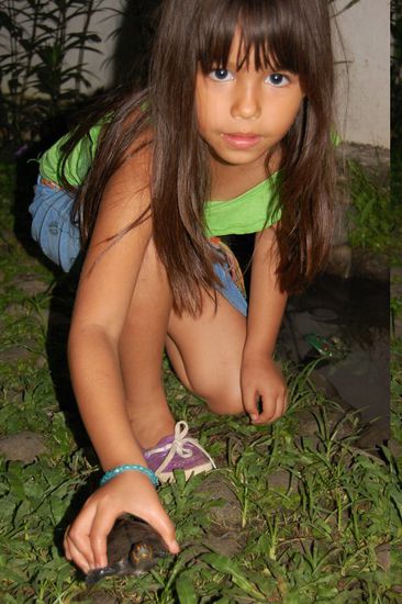 Eine kleine Schildkröte! 