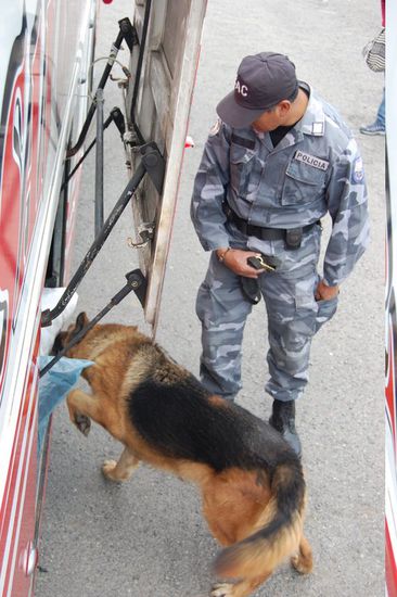 Während der Fahrt gabs einige Polizeikontrollen, zweimal mussten wir unseren Pass herzeigen.