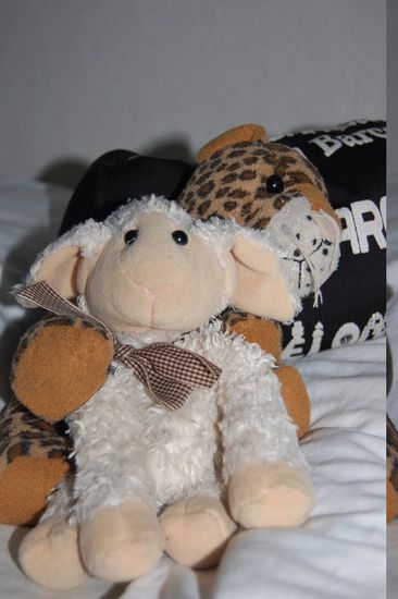 ...und Mica findet Choco trotz Sprachbarrieren richtig toll als Spielkamerad!