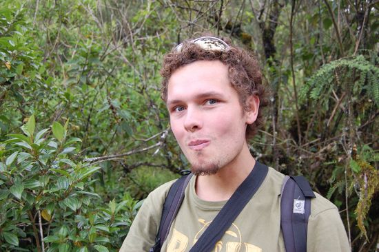 Das betauubt und desinfiziert! 
Ausserdem ist so ziemlich jede zweite Pflanze psychoaktiv, also nicht einfach zum Probieren! 