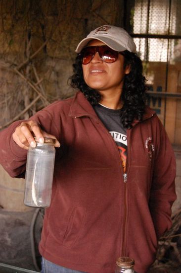 Tatata-tataaa: Der beruehmt-beruechtigte, sagenumwobene und gefuerchtete "Penisfisch"! Ja, es gibt ihn wirklich, er klettert auch wirklich gern Harnroehren hoch (maennchen und weibchen, wohlgemerkt) und ist viel groesser, als ich mir gedacht hab! Uarrgh.... 