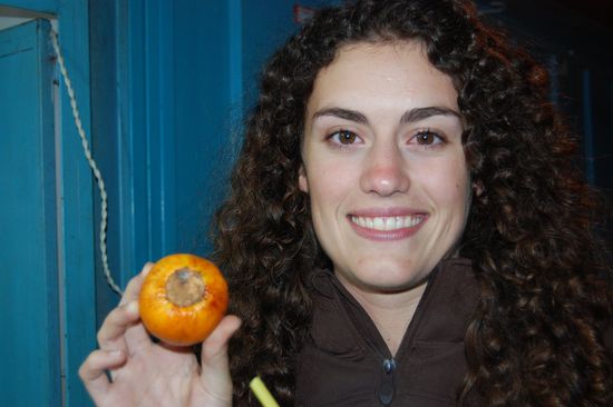 noch kalte Naranjilla 