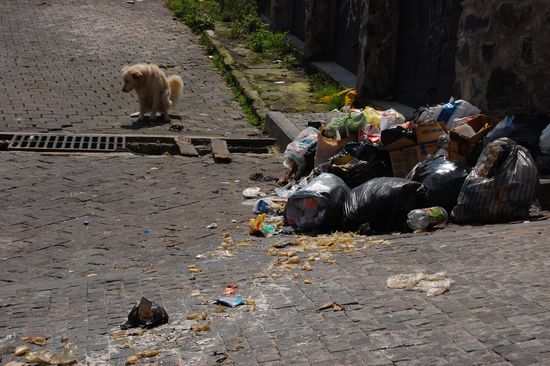 Hier mal ein grausiges Abfallbild - auch das gibts in Ecuador, wollen ja nicht alles schoenreden 