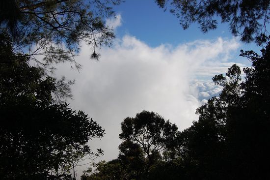 Wunderschöne Aussicht auf Caracas von ganz oben! 