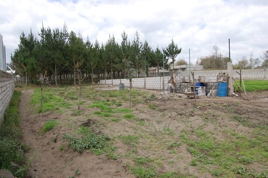 Feld und eigener Wald