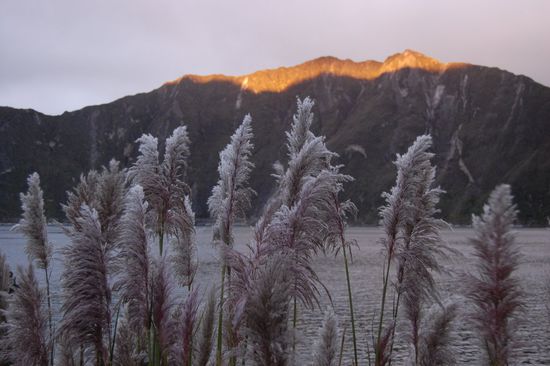 Stefans genialer Schnappschuss