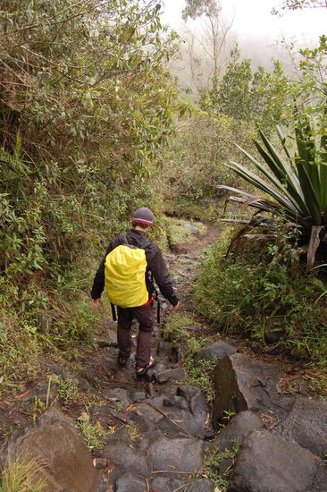 Es war kalt und grauslig...