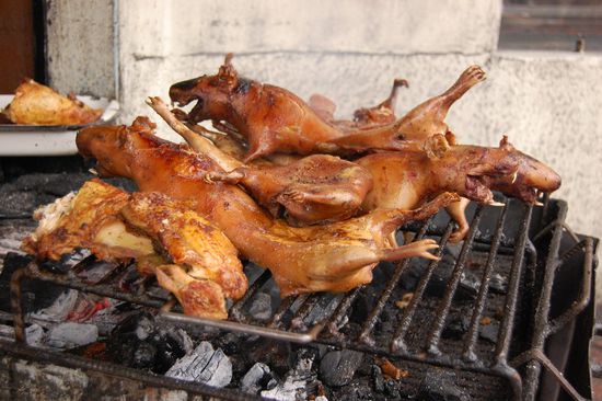 Tja, ich sag nicht, was das für Tiere sind... 