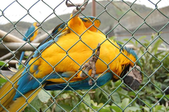 Wo ist hier der Ausgang?