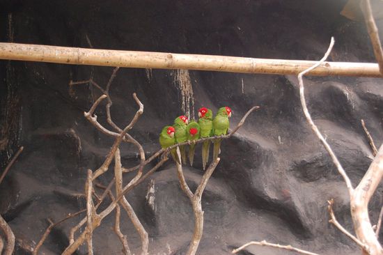 Wir fünf sind ein Team!