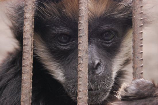 Holt mich hier raus!