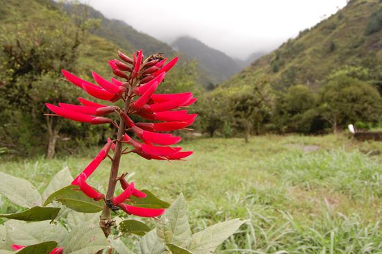 ...leuchtende Farben...