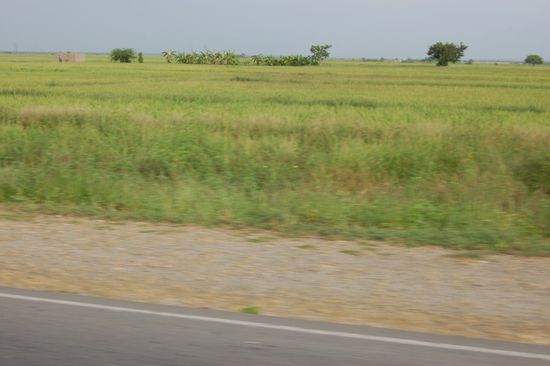 Eine komplett veränderte Landschaft