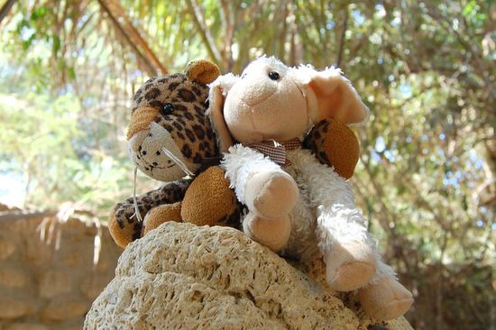 Choco &amp; Mica surfen auf dem Delphin und haben riesigen Spaß.