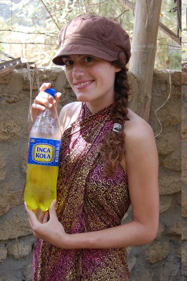 Lieber Markus, den ersten Auftrag hier in Peru hätten wir erfüllt: Inca-Kola, schmeckt wie der Kaugummi im Bum-Bum Eis! 