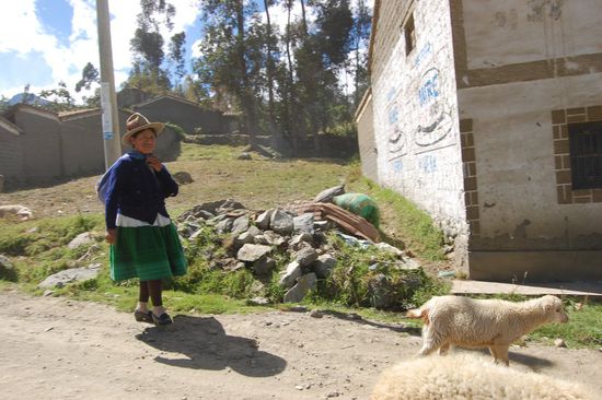 ...Schafen und Frauen in typischem Gewand, die die Tiere vor sich her treiben...