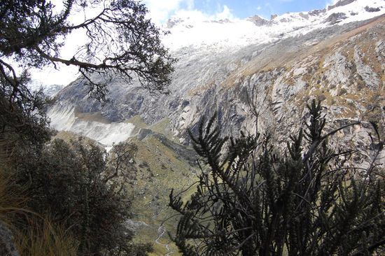 Wir steigen höher, aber noch gibt es Bäume...