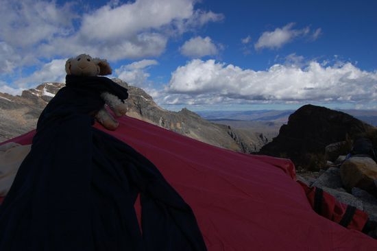 Mica ist auch mitgekommen. Ihm war aber extrem kalt, darum nimmt er meine lange Unterwäsche gleich mal als Schal... 