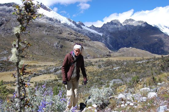 Die Pflanzenwelt wird immer karger.