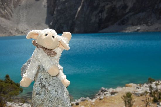 "Hahaaa - schaut wie hoch ich oben bin! Und ich war nie im Rucksack drin!" "Mica, das stimmt doch überhaupt nicht." 