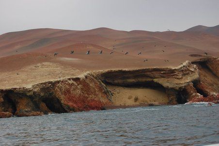 Peninsula de Paracas (eine Halbinsel)...