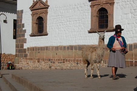 Frau mit Llama (hier sieht man gut die untere Inkaschicht)