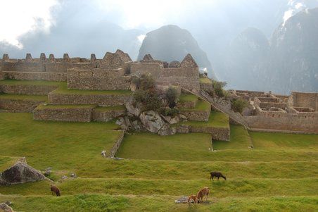 Llamas weiden da oben und wurden schon damals als Nutz- und Haustiere gehalten.