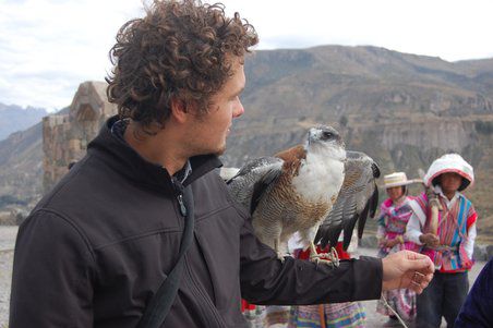 Auf dem Weg zum Cañon fliegt mir ein wilder Raubvogel zu. Ich zähme ihn...
