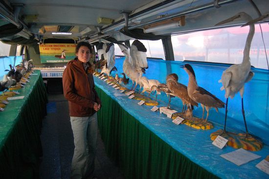 ...in einem alten, umgebauten Bus.