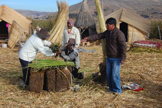 So, hier wird uns erklärt, wie die Uros so eine schwimmende Insel bauen: Das Schilf, das hier überall wächst, ist im Wurzelbereich verkorkt. Mit riesigen Sägen werden ca. 7x7 Meter große Blöcke herausgeschnitten, die dann mit Seilen zusammengebunden und mit mehreren Schichten Schilf bedeckt werden.