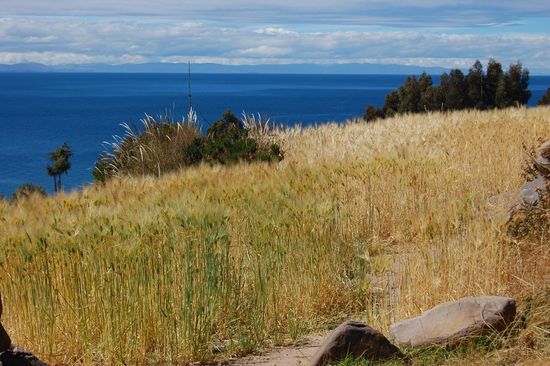 ...auf die Insel Taquile.