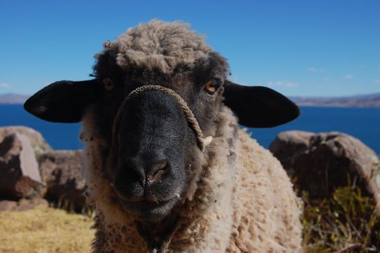 "Ja wer bist denn du?"