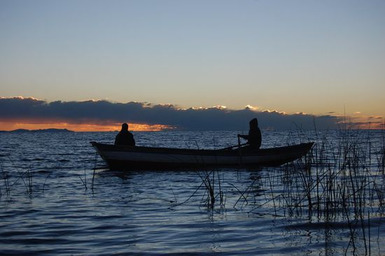 Genialer Schnappschuss