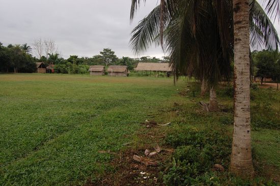 Fußballplatz mit Palmen