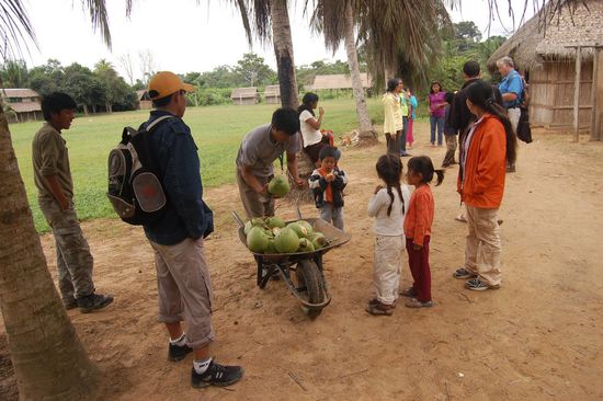 Max knackt mit der Machete Kokosnüsse...