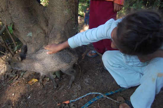 Rebekka streichelt Pinky