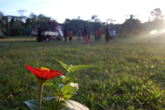 Alle beim Volleyball spielen.
