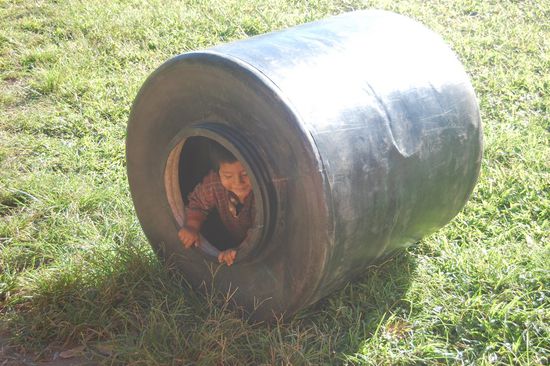 Wer wohnt denn da im Weinfass? Ein kleiner Nachwuchsphilosoph?