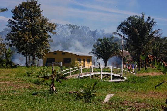 Es brennt! Oh, nur der Rasen...