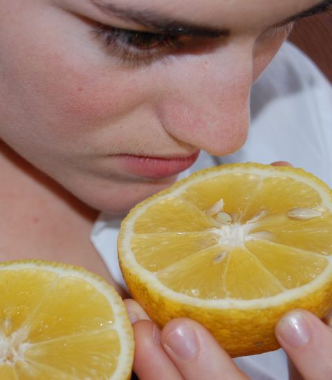 Venezuelanische Riesenzitrone