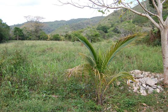 Aussicht aus Levi's Haus