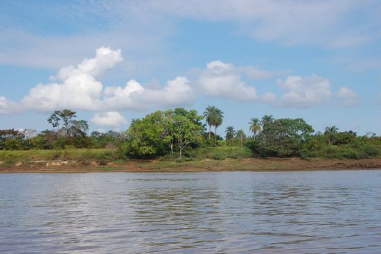 Alles schön dschungelig...