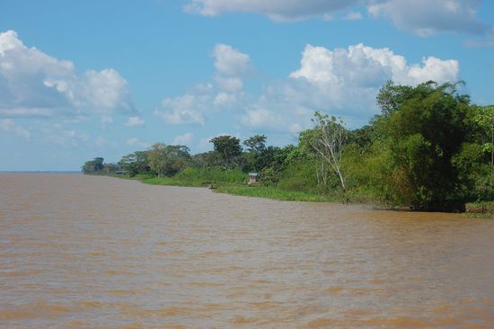 Ansonsten waren wir tagelang inmitten von tiefstem Regenwald umgeben.