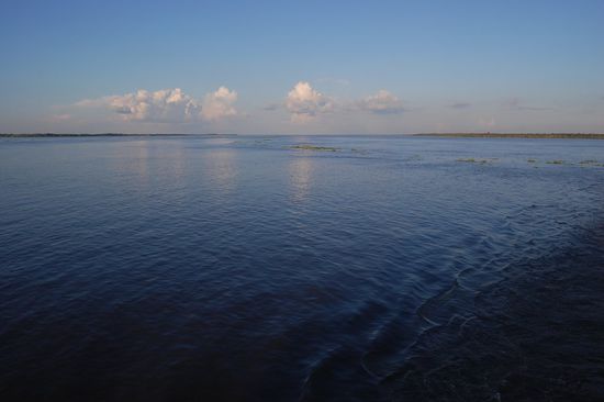 ...wo der Rio Madeira in den Amazonas mündet, wird der Fluss so breit, dass man sich am Meer glauben könnte weil das Wasser bis zum Horizont reicht!