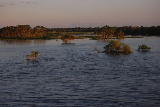 Ab nun fuhren wir in Ufernähe flussaufwärts...