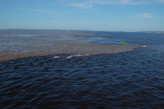 Auch sehr faszinierend und als extra Tagestour auch gleich mal wieder 90$ wert: Das Treffen der beiden Flüsse Rio Solimões (Milchkaffeebraunes Wasser) mit dem Rio Negro (Mokkaschwarzes Wasser). Die beiden Gewässer haben anscheinend einen krass unterschiedlichen PH-Wert und verschiedenen Mikroorganismen, sodass die unterschiedlichen Farben zustande kommen und sich einige Zeit auch gar nicht vermischen.