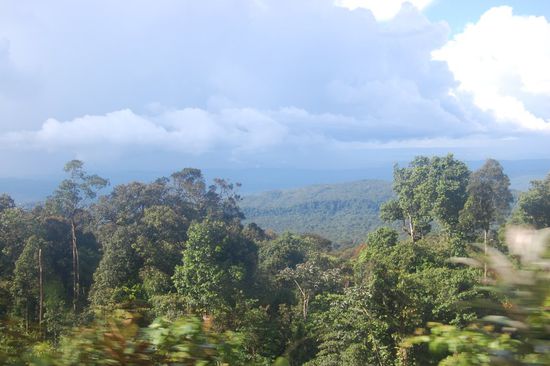 ...um die Landschaft der Gran Sabana mit ihren berühmten Tafelbergen zu sehen. Leider hingen durchgehend dunkle Wolken am Himmel und die meiste Zeit hat es sogar geregnet, sodass wir hier etwas enttäuscht wurden.